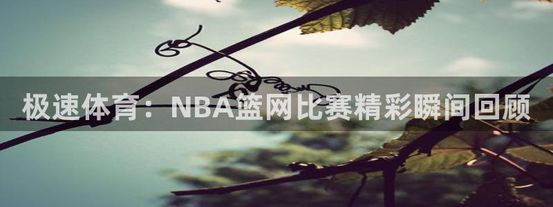 极速体育：NBA篮网比赛精彩瞬间回顾