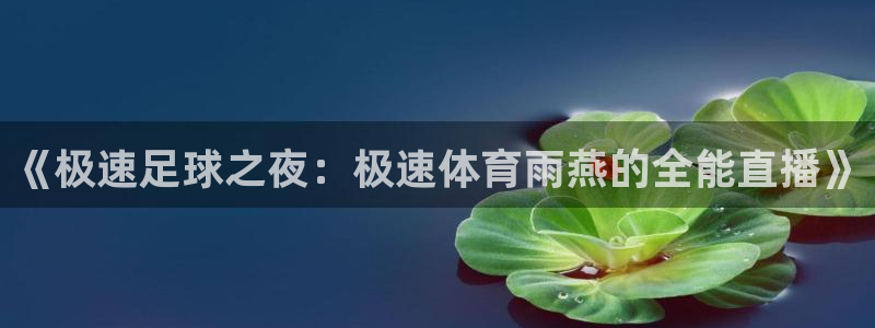 《极速足球之夜：极速体育雨燕的全能直播》