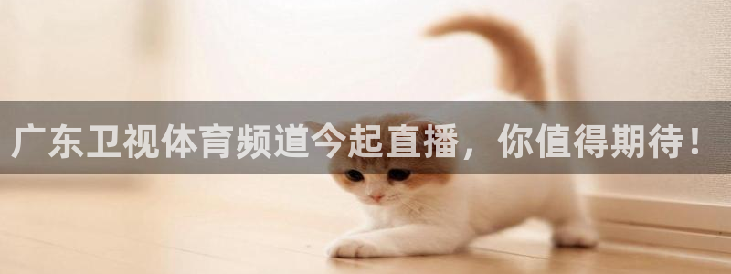 广东卫视体育频道今起直播，你值得期待！