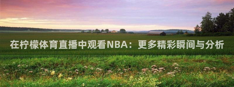 在柠檬体育直播中观看NBA：更多精彩瞬间与分析