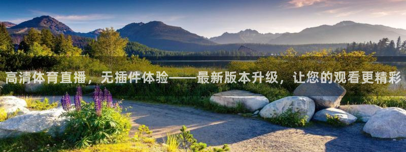高清体育直播，无插件体验——最新版本升级，让您的观看更精彩