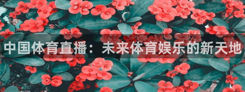 中国体育直播：未来体育娱乐的新天地