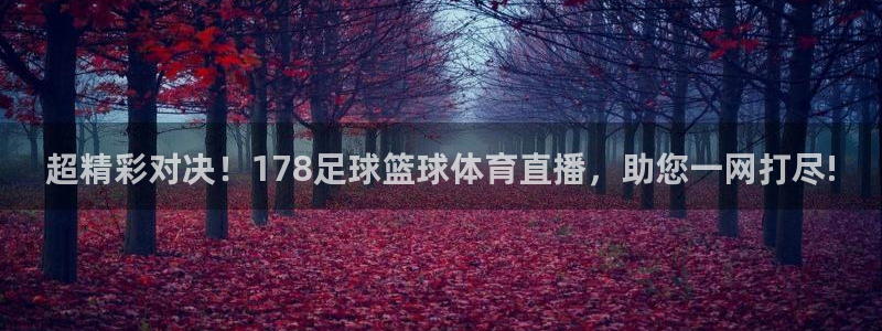 超精彩对决！178足球篮球体育直播，助您一网打尽!