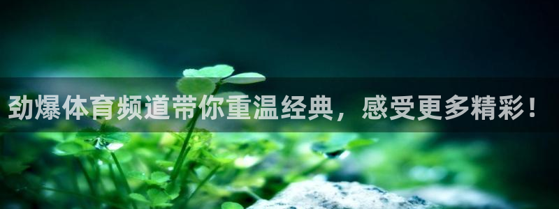 劲爆体育频道带你重温经典，感受更多精彩！