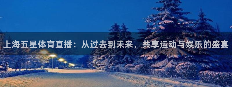 上海五星体育直播：从过去到未来，共享运动与娱乐的盛宴