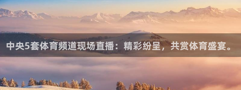 中央5套体育频道现场直播：精彩纷呈，共赏体育盛宴。