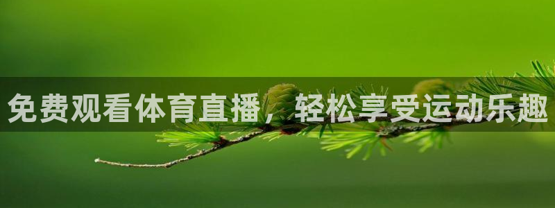 免费观看体育直播，轻松享受运动乐趣