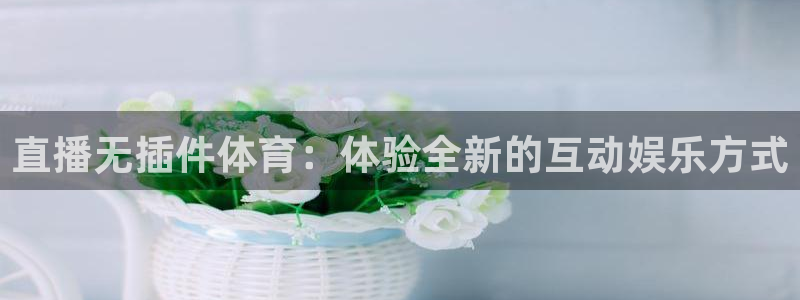 直播无插件体育：体验全新的互动娱乐方式