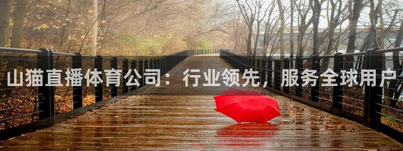 山猫直播体育公司：行业领先，服务全球用户