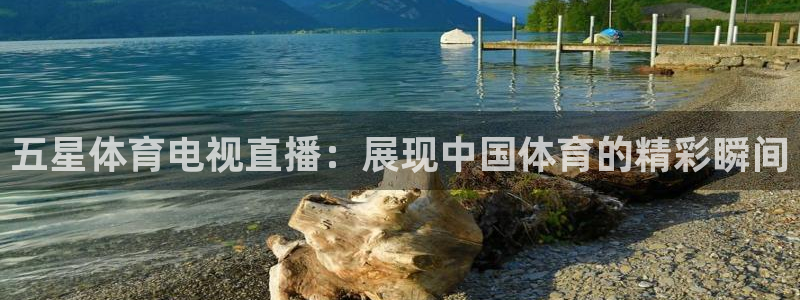 五星体育电视直播：展现中国体育的精彩瞬间