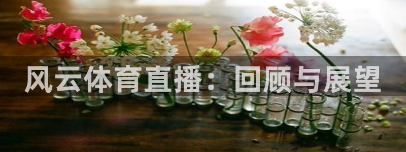 风云体育直播：回顾与展望