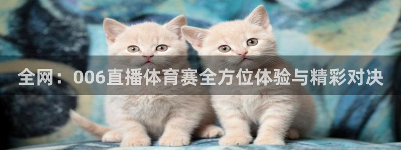 全网：006直播体育赛全方位体验与精彩对决