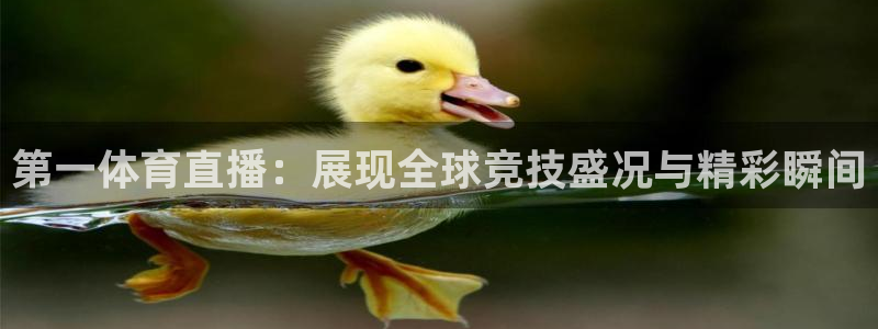 第一体育直播：展现全球竞技盛况与精彩瞬间