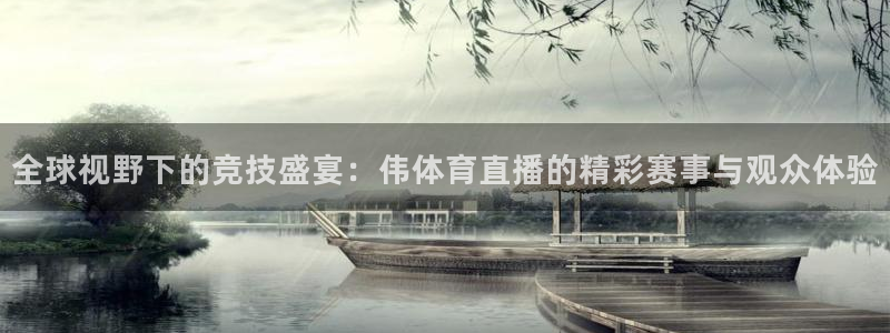 全球视野下的竞技盛宴：伟体育直播的精彩赛事与观众体验