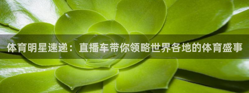 体育明星速递：直播车带你领略世界各地的体育盛事