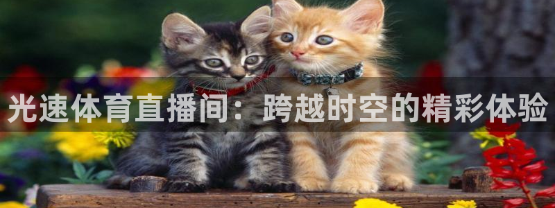 光速体育直播间：跨越时空的精彩体验