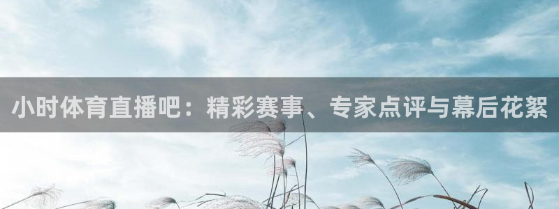 小时体育直播吧：精彩赛事、专家点评与幕后花絮