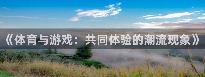 《体育与游戏：共同体验的潮流现象》