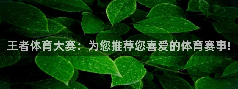 王者体育大赛：为您推荐您喜爱的体育赛事!