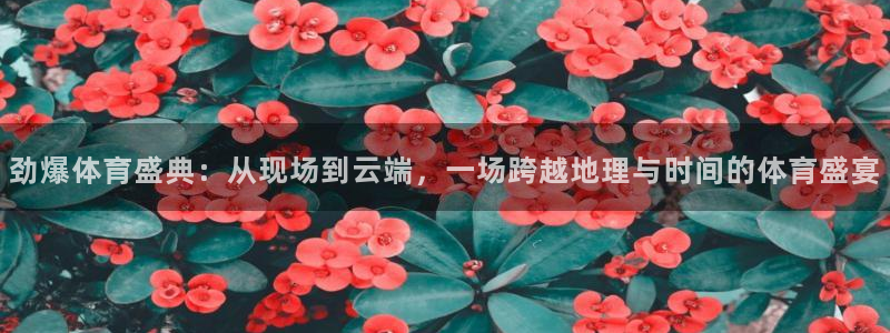 劲爆体育盛典：从现场到云端，一场跨越地理与时间的体育盛宴