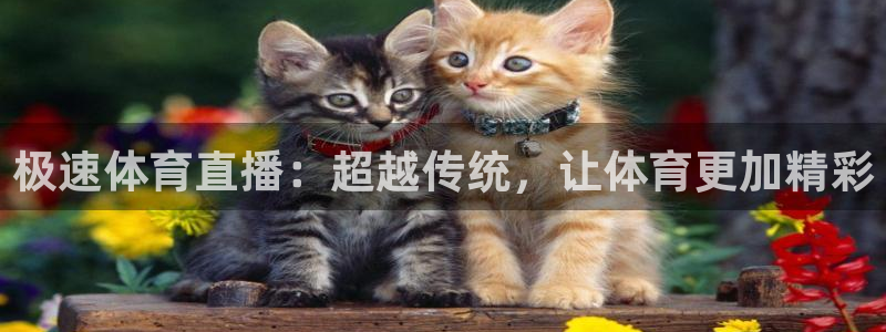 极速体育直播：超越传统，让体育更加精彩