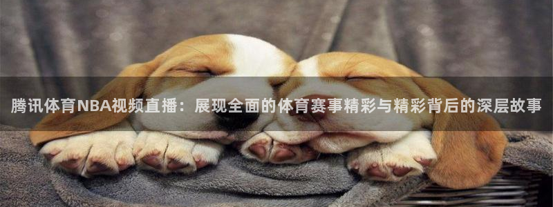 腾讯体育NBA视频直播：展现全面的体育赛事精彩与精彩背后的深层故事