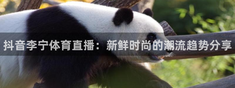 抖音李宁体育直播：新鲜时尚的潮流趋势分享