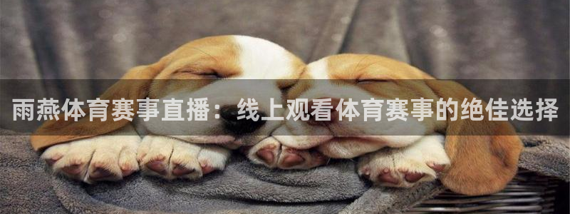 雨燕体育赛事直播：线上观看体育赛事的绝佳选择