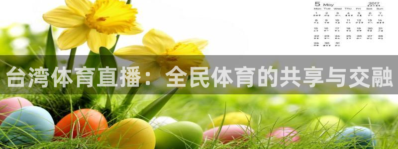 台湾体育直播：全民体育的共享与交融