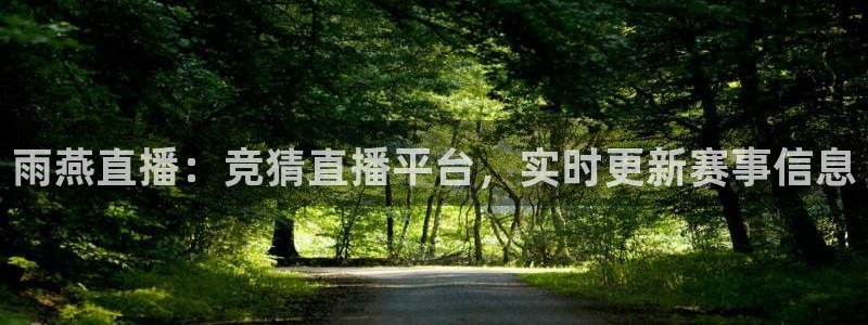 雨燕直播：竞猜直播平台，实时更新赛事信息