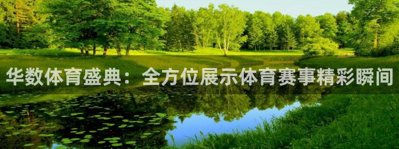 华数体育盛典：全方位展示体育赛事精彩瞬间