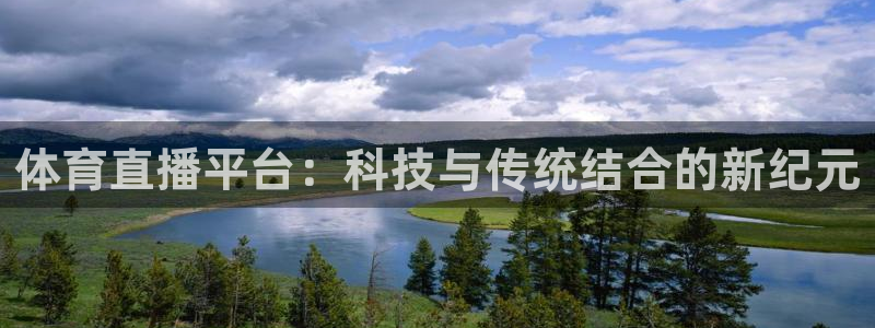 体育直播平台：科技与传统结合的新纪元